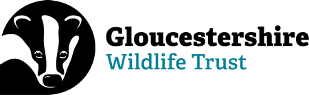 Gloucestershire Wildlife Trust